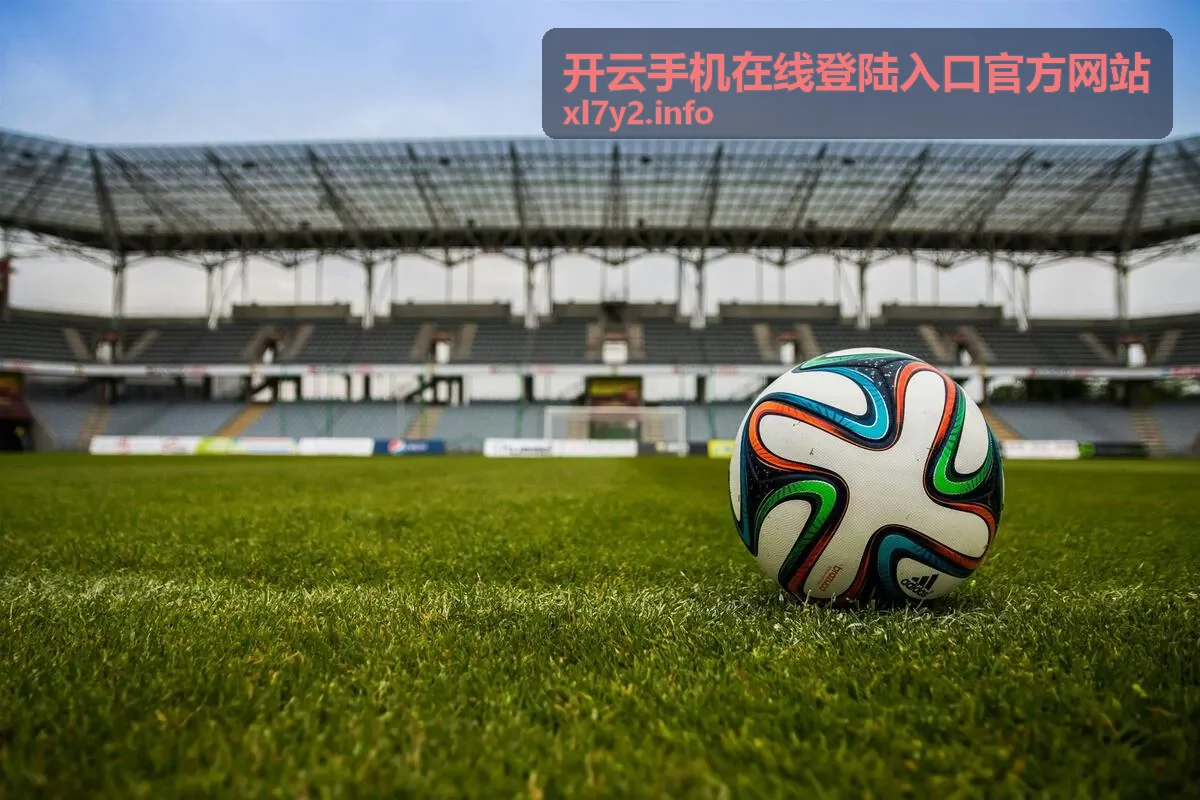 手机端安全入口服务示意图